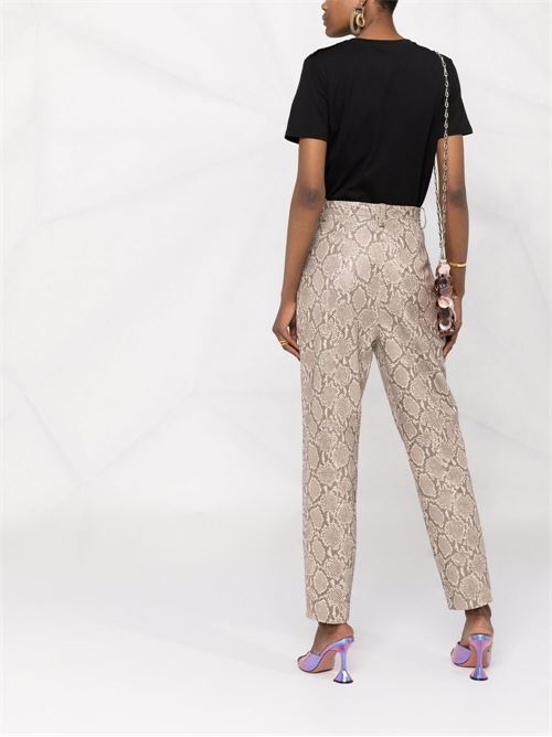  BALMAIN | BF1EF005BB02EAB