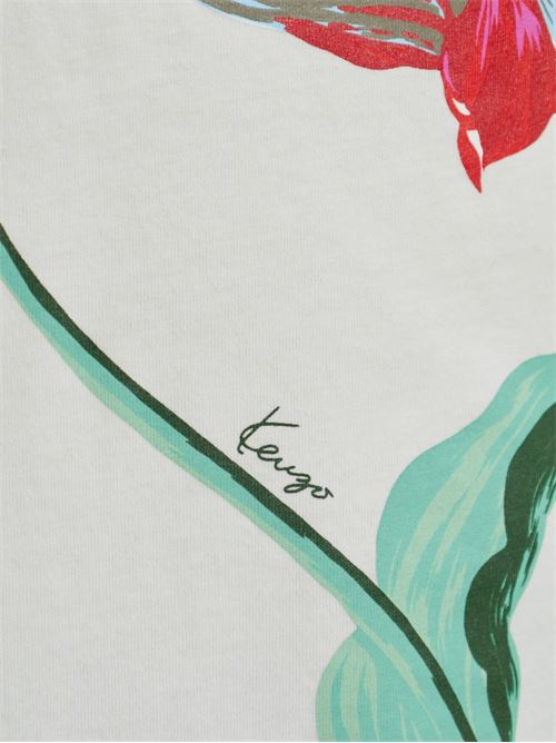  KENZO | FG62TS3624SG02